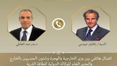 وزير الخارجية يبحث مع مدير وكالة الطاقة الذرية التعاون النووى وتطورات ملف إيران