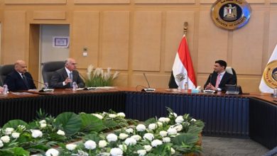 وزير الصناعة يبحث مع اتحاد الصناعات المصرية وجهاز مشروعات الخدمة الوطنية سبل مضاعفة صادرات الرخام والجرانيت